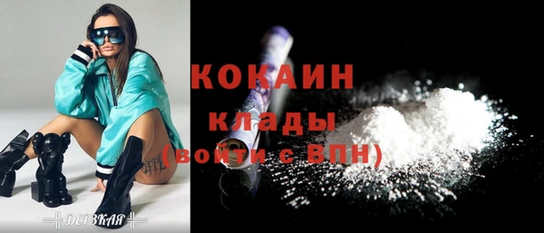 COCAINE Богородицк